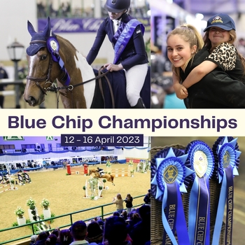 Join the magical experience of the Blue Chip Championships 